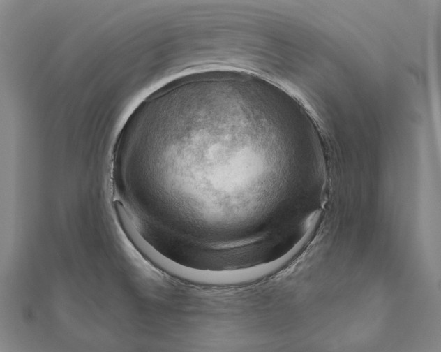 X0000111201524200907221119