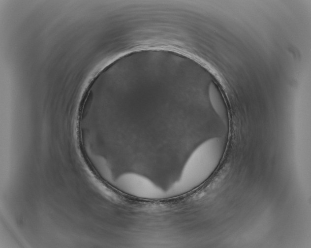 X0000111201525200907221119