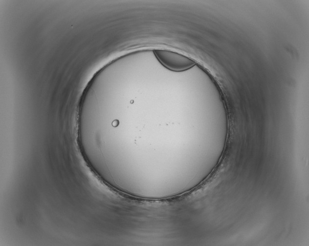 X0000111201526200907221119