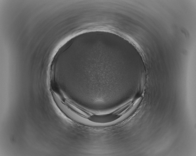 X0000111201528200907221120