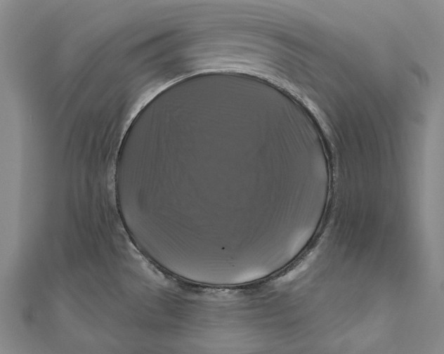 X0000111201529200907221120