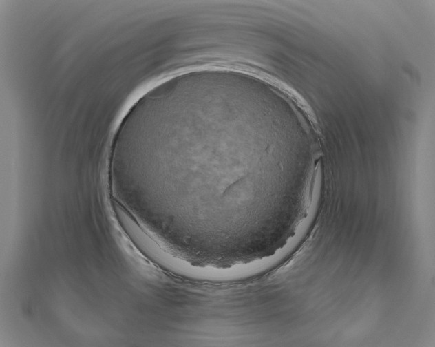 X0000111201530200907221120