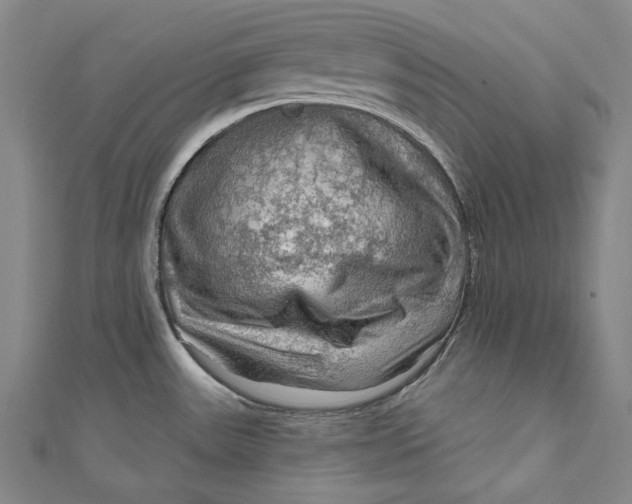 X0000111201531200907221120