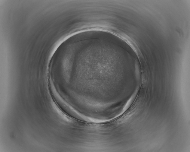 X0000111201532200907221120