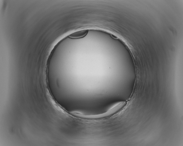 X0000111201534200907221120