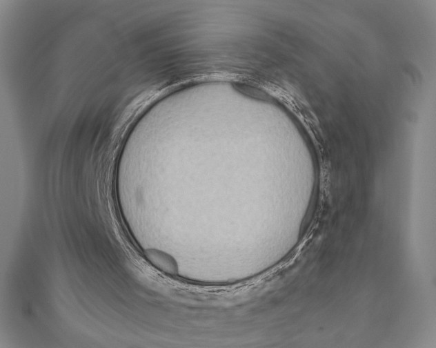 X0000111200001200907291240