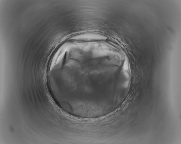 X0000111200002200907291240