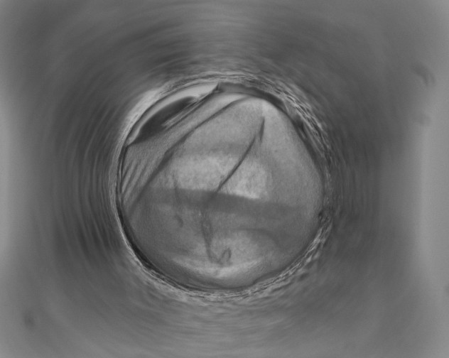 X0000111200003200907291240