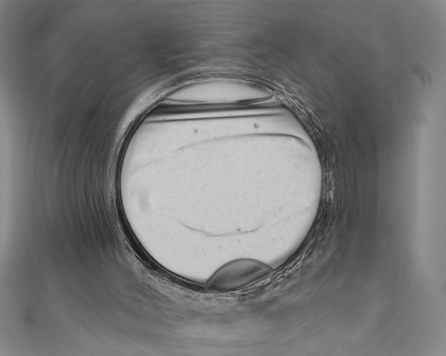 X0000111200004200907291240