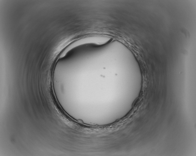 X0000111200005200907291240