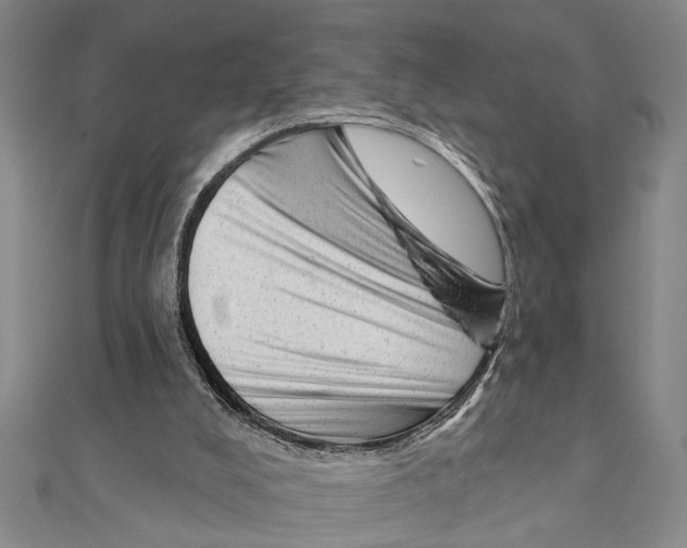 X0000111200008200907291240