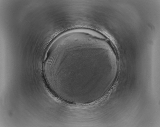 X0000111200009200907291240