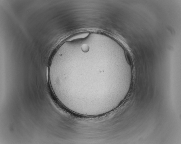 X0000111200013200907291240