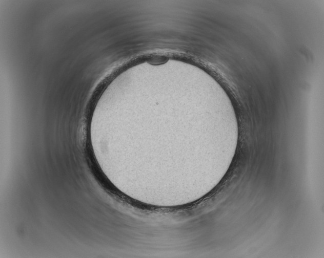 X0000111200016200907291240