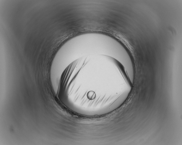 X0000111200017200907291240