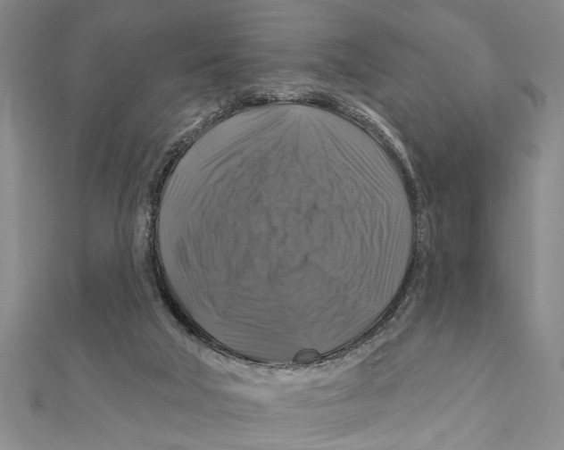 X0000111200018200907291240