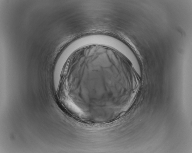 X0000111200019200907291240