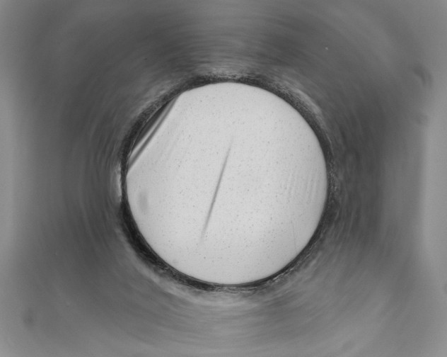 X0000111200020200907291240