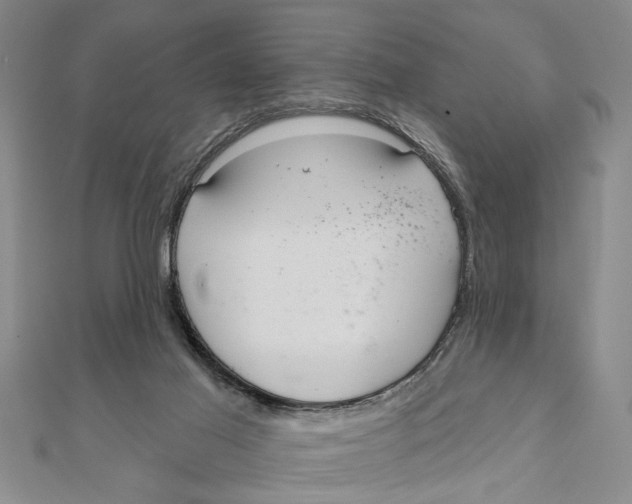 X0000111200021200907291240