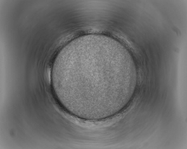 X0000111200022200907291240