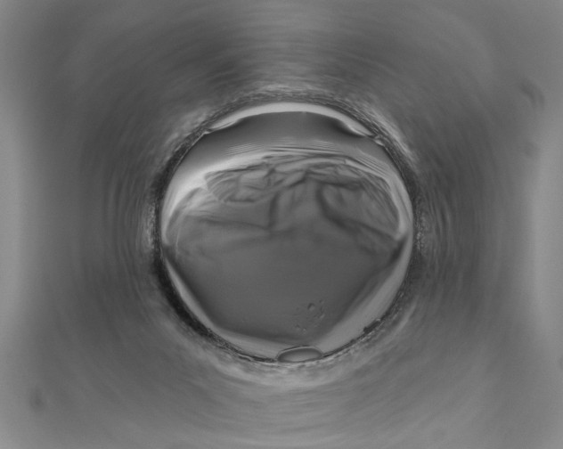 X0000111200023200907291240