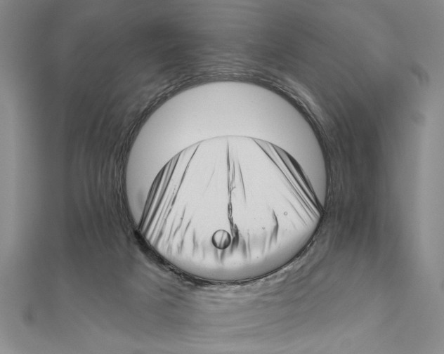 X0000111200025200907291240