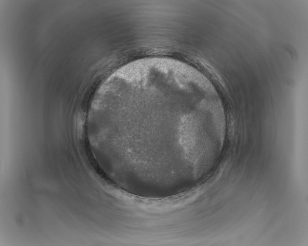 X0000111200026200907291240