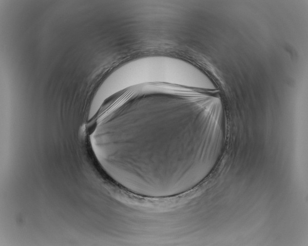 X0000111200027200907291240