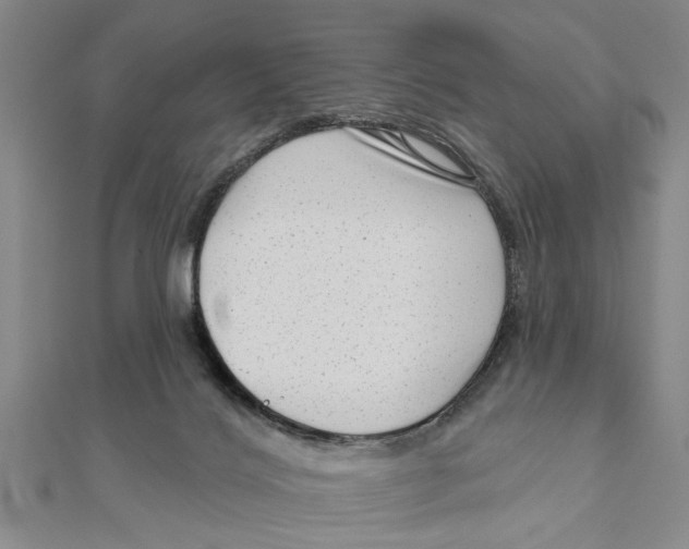 X0000111200028200907291240