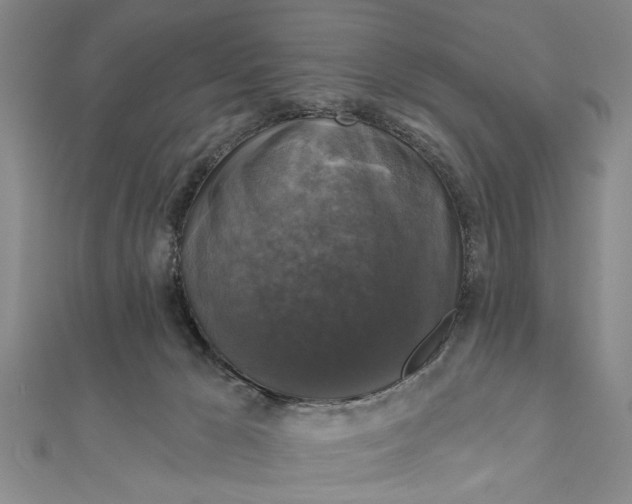 X0000111200029200907291240