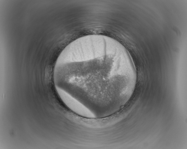 X0000111200030200907291240