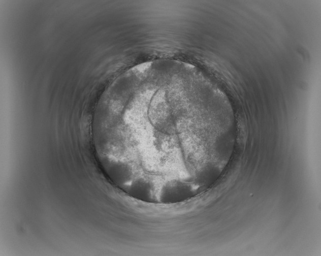 X0000111200034200907291239