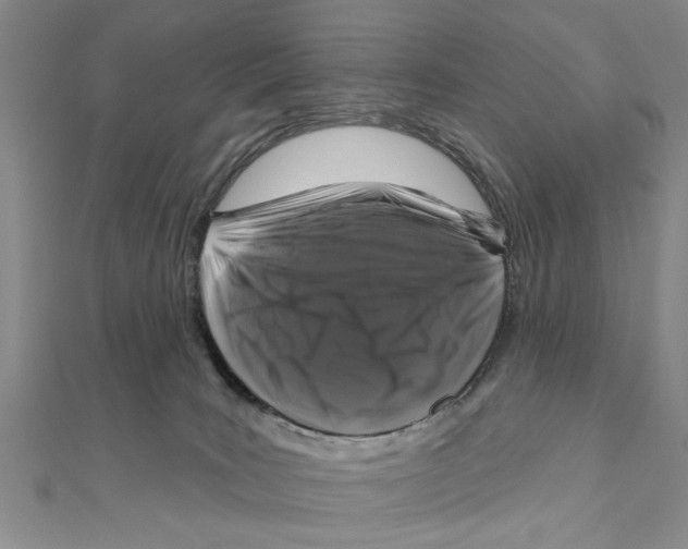 X0000111200035200907291239