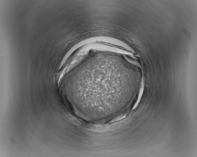 X0000111200037200907291239