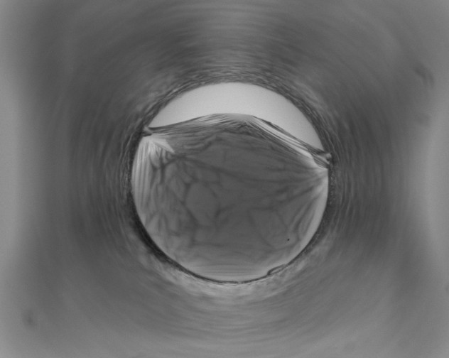 X0000111200039200907291239