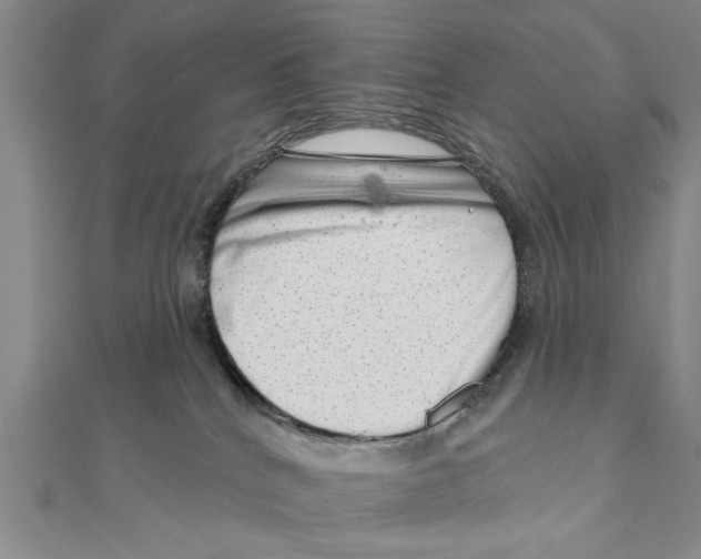 X0000111200040200907291239