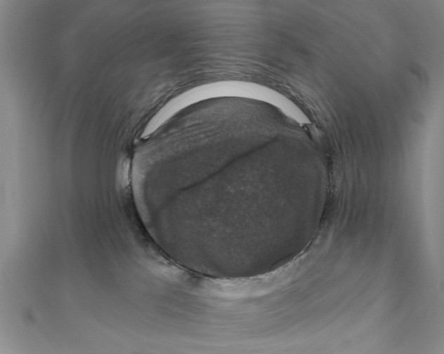 X0000111200041200907291239