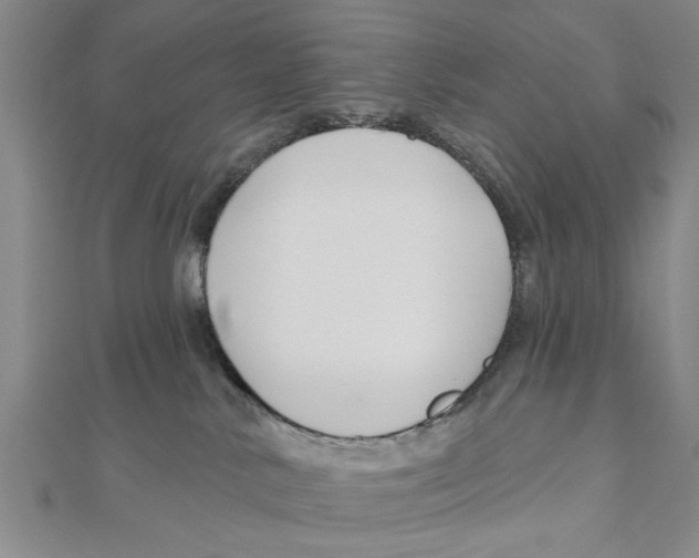 X0000111200042200907291239