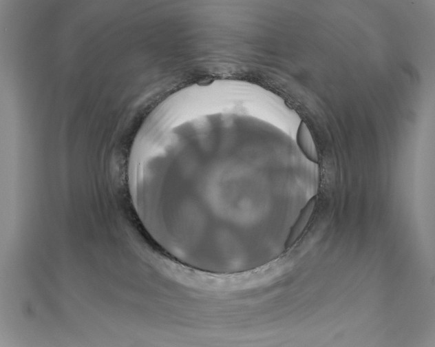 X0000111200043200907291239