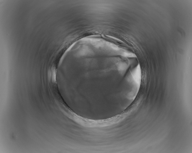 X0000111200046200907291239