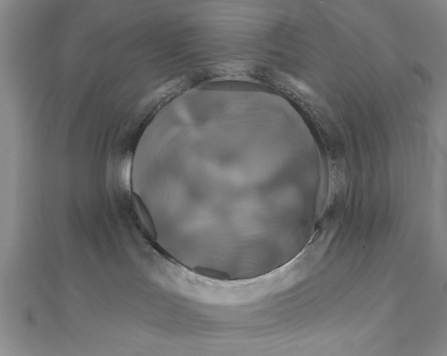 X0000111200047200907291239