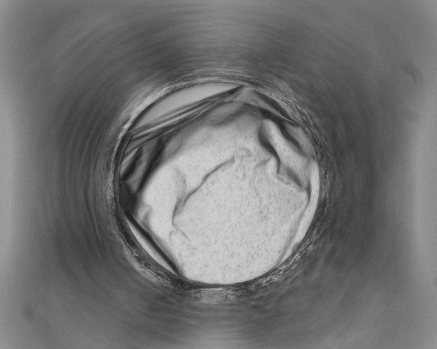 X0000111200050200907291238