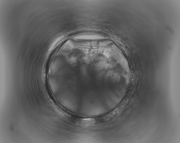 X0000111200053200907291239