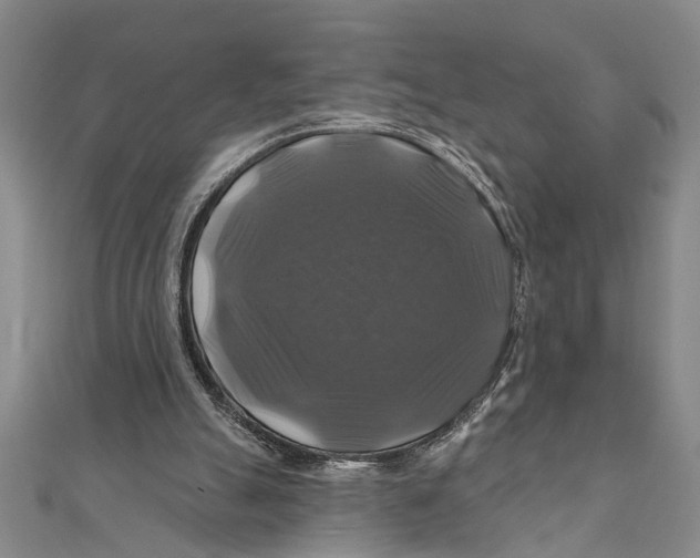 X0000111200055200907291239