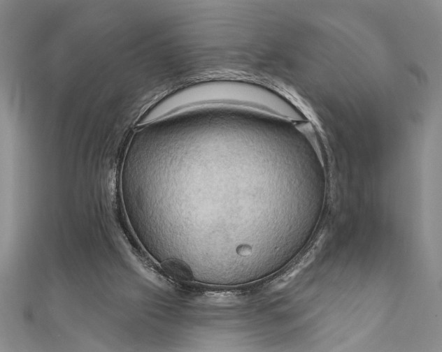 X0000111200057200907291239