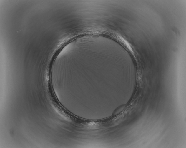 X0000111200059200907291239