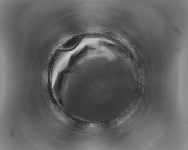 X0000111200060200907291239