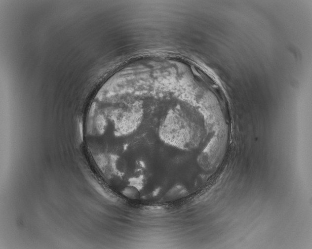 X0000111200061200907291239