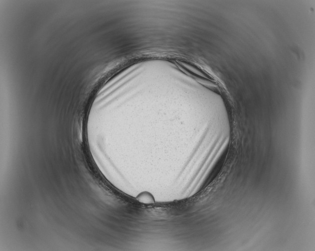 X0000111200062200907291239