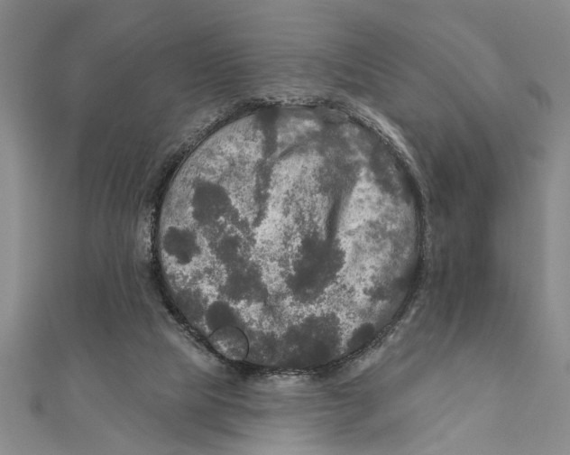 X0000111200065200907291239